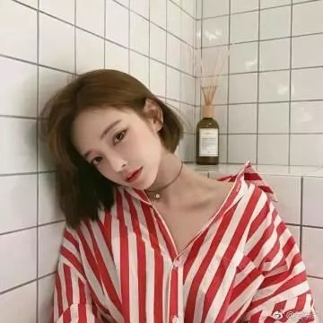 猫咪情缘